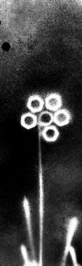 Black Industrial Flower