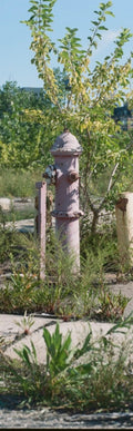Waterfront Pink Hydrant Bookmark