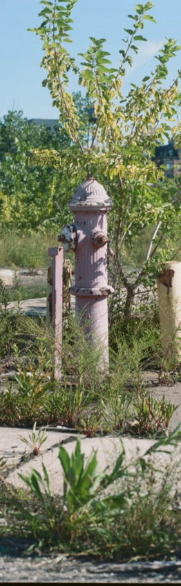 Waterfront Pink Hydrant Bookmark