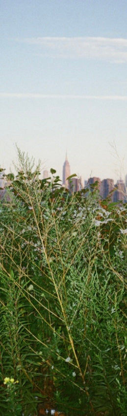 Williamsburg Waterfront Bookmark