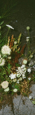 Waterfront Weeds Bookmark