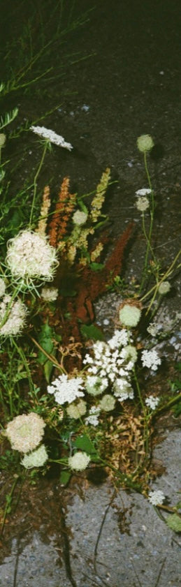 Waterfront Weeds Bookmark