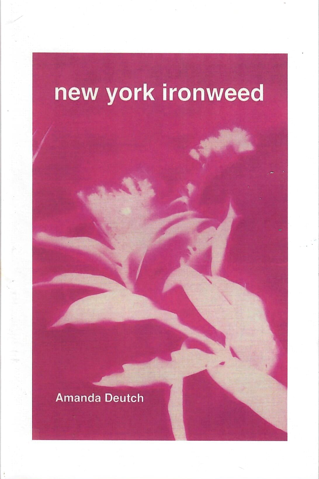 New York Ironweed - Amanda Deutch