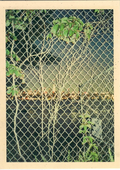 Weeds in the Fence Postcard