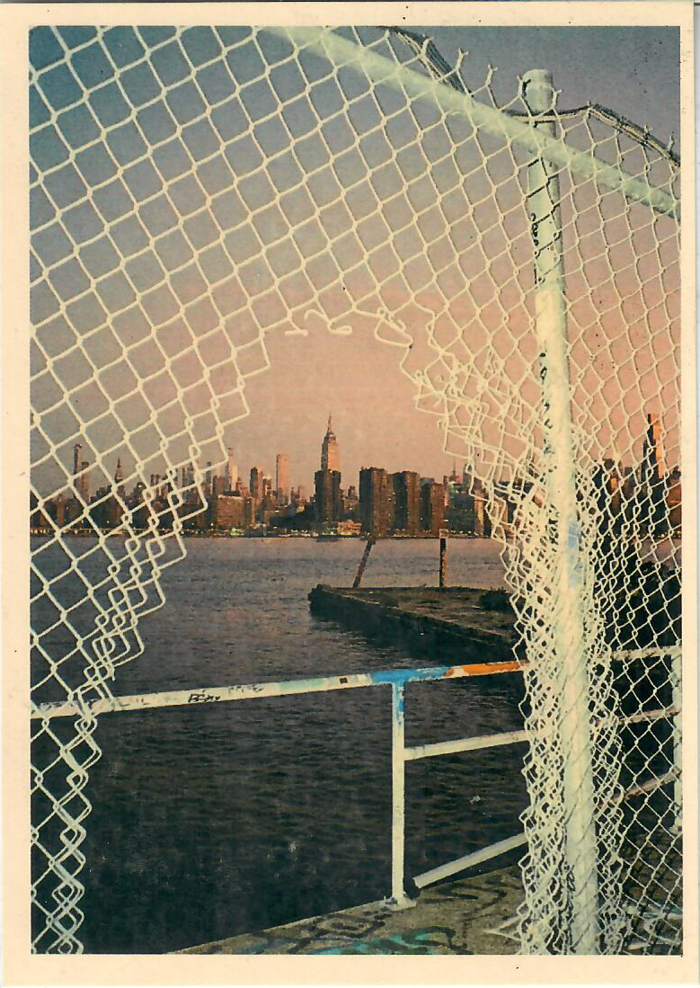 Waterfront Views Postcard