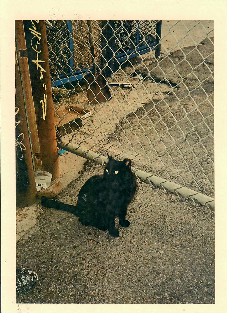 Stanley Postcard