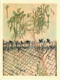 HOMESICK Heaven Tree Postcard